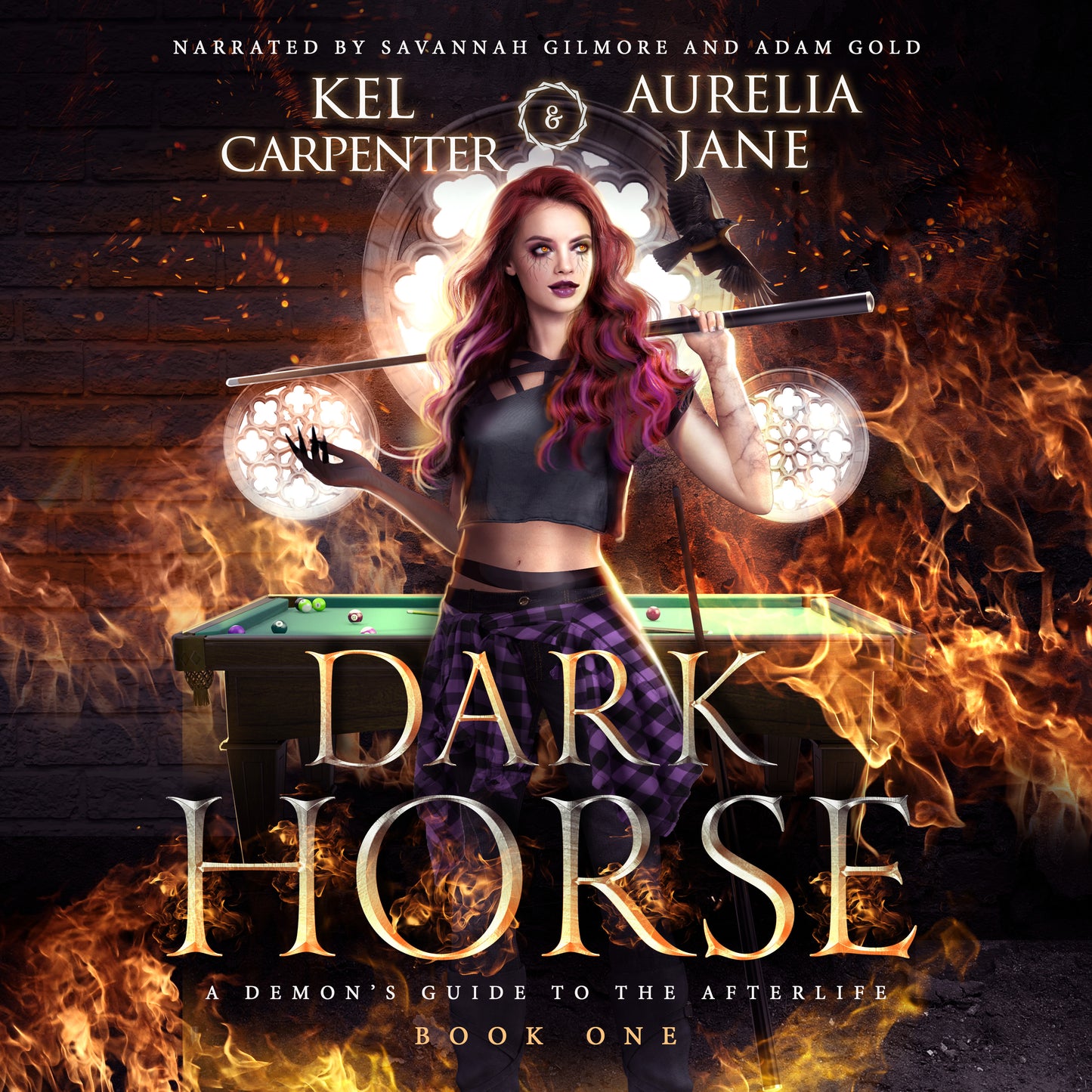 Audiobook - Dark Horse